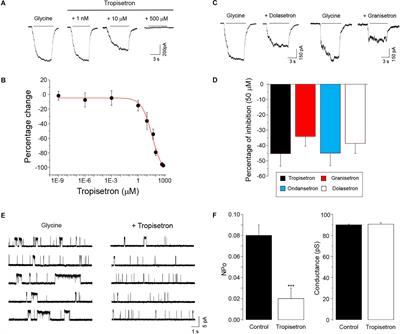 Inhibitory Actions of Tropeines on the α3 Glycine Receptor Function